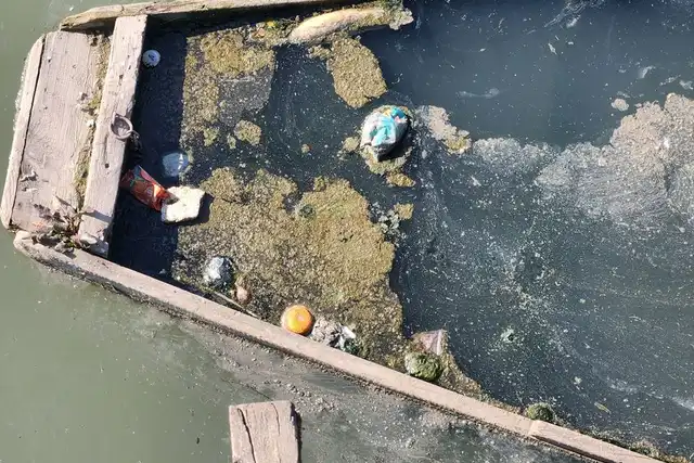 Água suja com algas e resíduos vista de cima